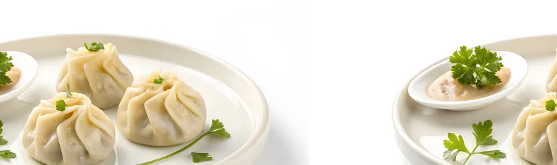 Tibetan Snow Lion Momos Story Tibetan Snow Lion Momos - About Our Restaurant